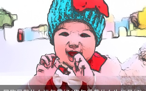 属狗佩戴什么运气最好(狗年佩戴什么生肖最好)