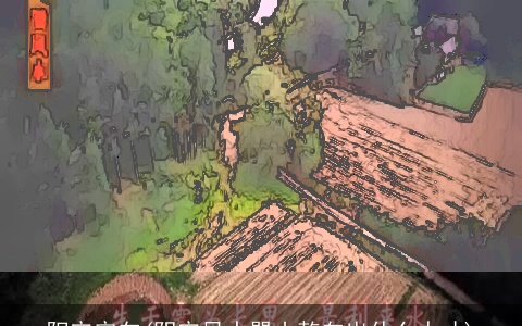 阳宅定向(阴宅风水巽山乾向出什么人才)