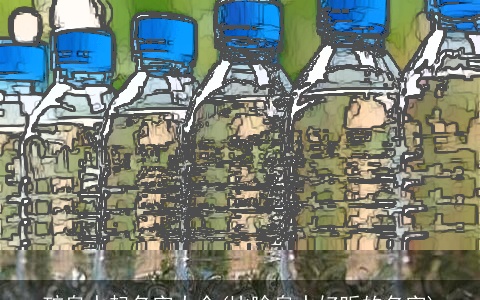 矿泉水起名字大全(比喻泉水好听的名字)