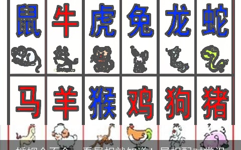 婚姻合不合，看属相就知道！属相配对常识