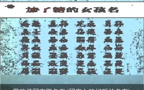 男孩子程字取名字(程字女孩好听的名字)