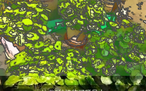 这些5种植物可旺风水