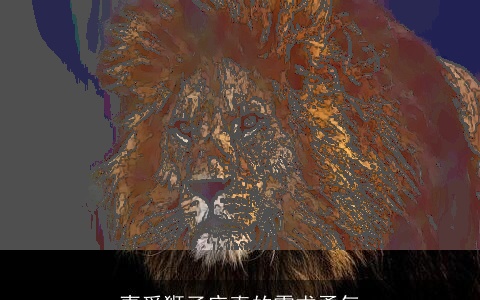 喜爱狮子座真的需求勇气