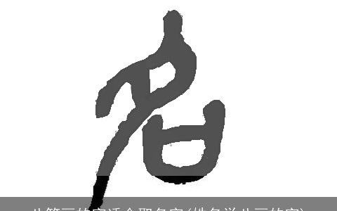 八笔画的字适合取名字(姓名学八画的字)