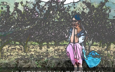 女生桃花位摆放什么(九紫桃花位放什么)