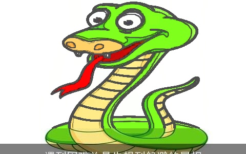 遇到困难总是先想到躲避的属相