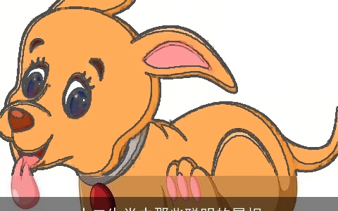 十二生肖中那些聪明的属相