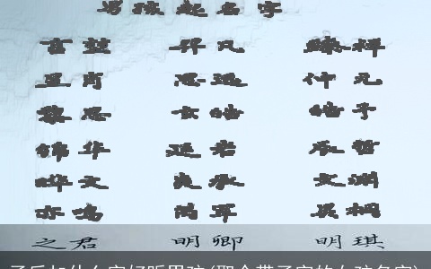 子后加什么字好听男孩(取个带子字的女孩名字)