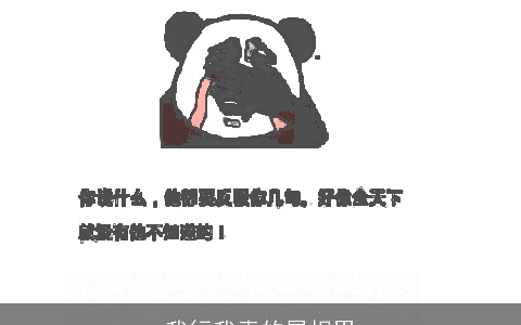 我行我素的属相男