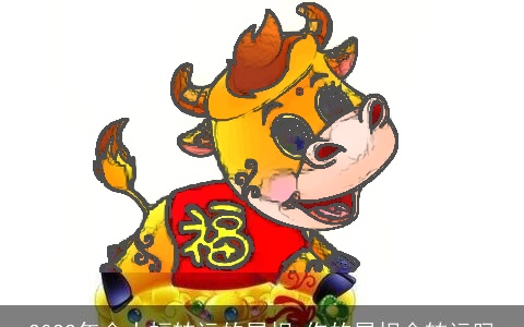 2022年会大幅转运的属相 你的属相会转运吗