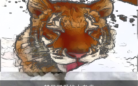 梦见可爱的小老虎