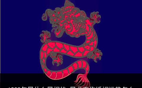 1988年属什么属相的 属龙工作婚姻运势怎么