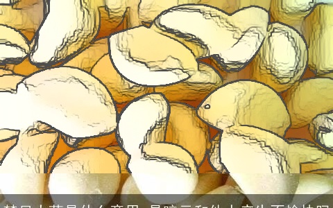 梦见大蒜是什么意思 是暗示和他人产生不愉快吗