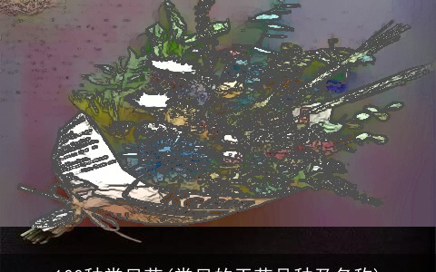 100种常见花(常见的干花品种及名称)