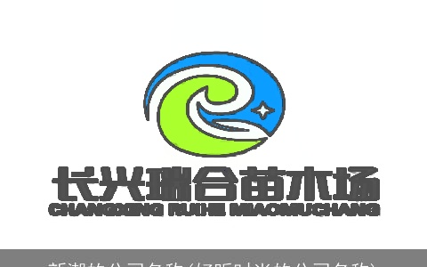 新潮的公司名称(好听时尚的公司名称)