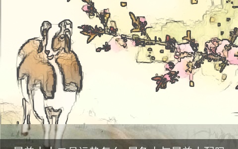 属羊人十二月运势怎么 属兔人与属羊人配吗