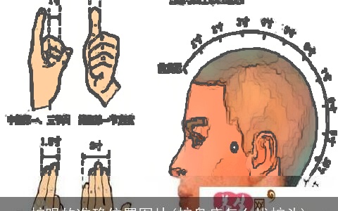 蛇眼的准确位置图片(蛇盘疮怎么找蛇头)