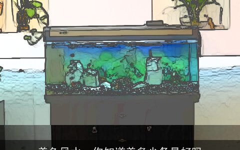 养鱼风水，你知道养多少条最好吗