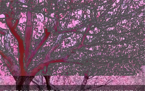 家中哪个位置是桃花风水最好的方向(真的有效的旺桃花风水)