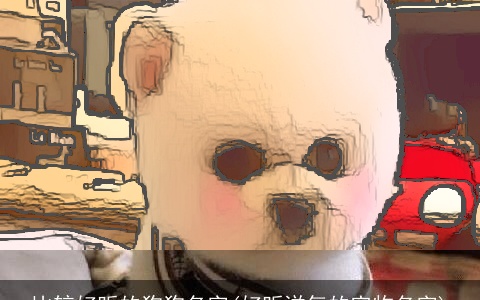 比较好听的狗狗名字(好听洋气的宠物名字)