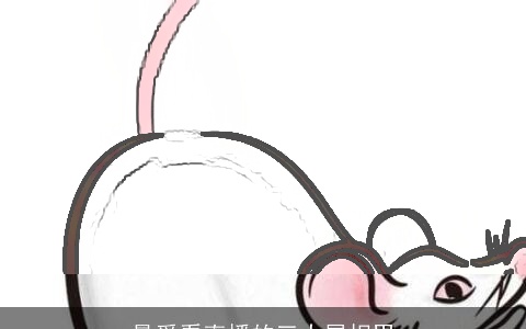 最爱看直播的三大属相男