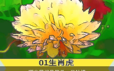 哪些属相最简单一见钟情