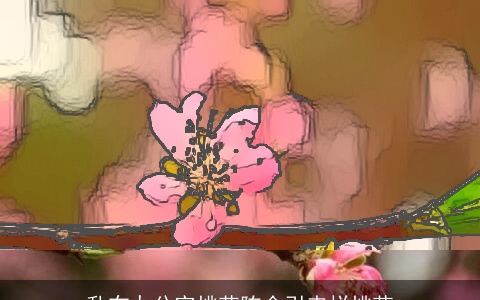 乱布办公室桃花阵会引来烂桃花