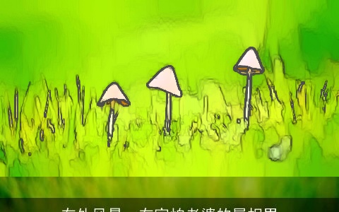 在外风景，在家怕老婆的属相男