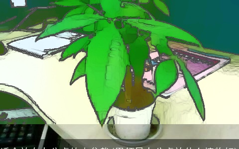 适合放在办公桌的小盆栽(男领导办公桌放什么植物好)