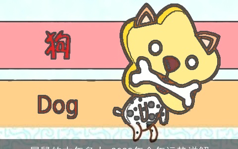 属鼠的本年多大 2022年全年运势详解