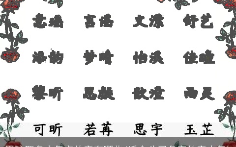 男孩取名大气点的字有哪些(适合公司名字的字大气)