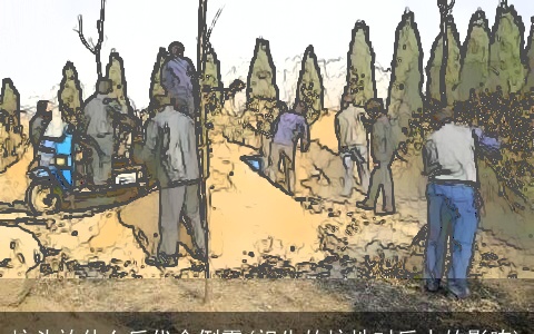 坟头放什么后代会倒霉(祖先的坟地对后人的影响)