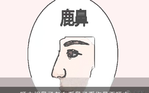 旺夫相鼻子怎么看鼻子看你是否旺夫