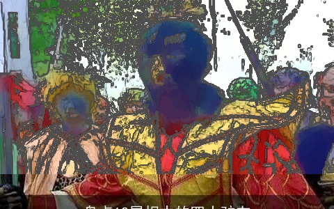 盘点12属相中的四大驴友