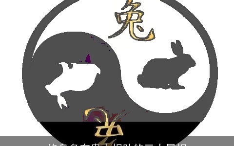 终身多有贵人相助的三大属相