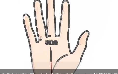 手相中从手指看一个人性情！手相与一个人性情的联系