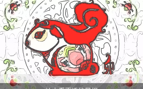 让人看不透的属相