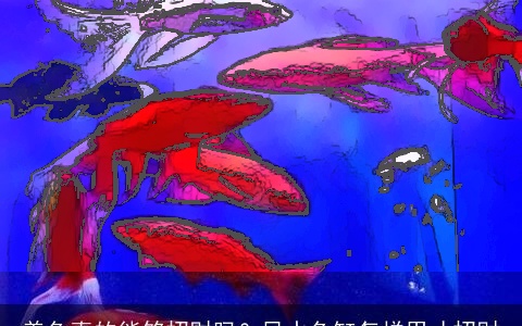 养鱼真的能够招财吗？风水鱼缸怎样用才招财