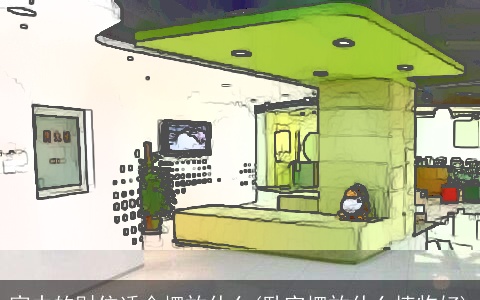 家中的财位适合摆放什么(卧室摆放什么植物好)