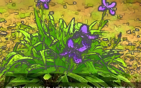 蓝色妖姬的别名(类似蓝色妖姬的名字有哪些)