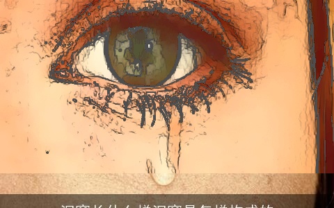 泪窝长什么样泪窝是怎样构成的