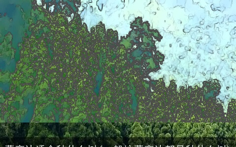 墓旁边适合种什么树(一般坟墓旁边都是种什么树)