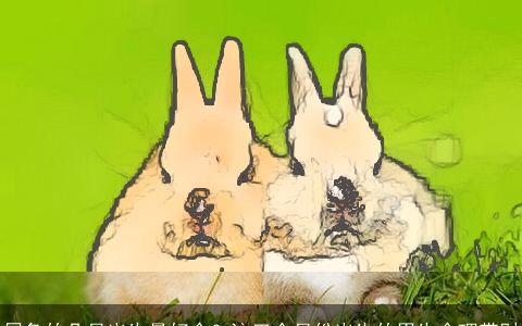 属兔的几月出生最好命？这三个月份出生的男生命理带财