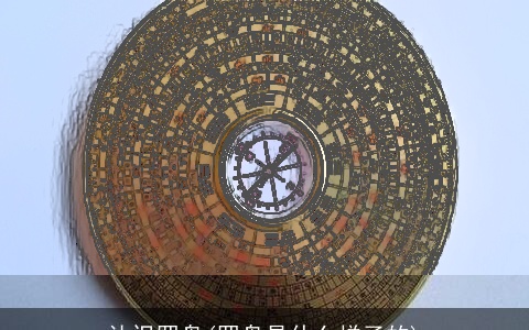 认识罗盘(罗盘是什么样子的)