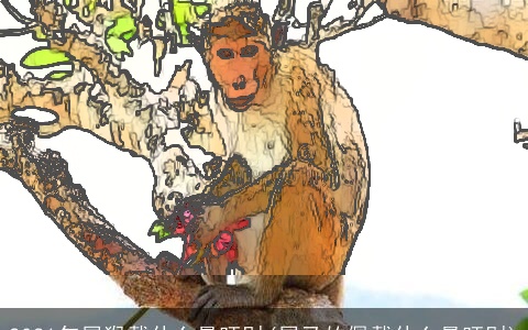 2021年属猴戴什么最旺财(属马的佩戴什么最旺财)