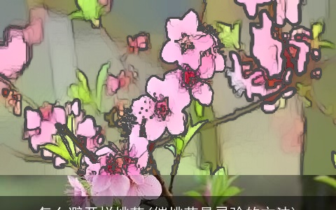 怎么避开烂桃花(催桃花最灵验的方法)