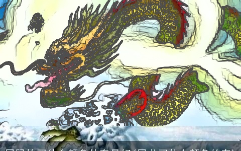 属龙的买什么颜色的车最好(属龙买什么颜色的车)