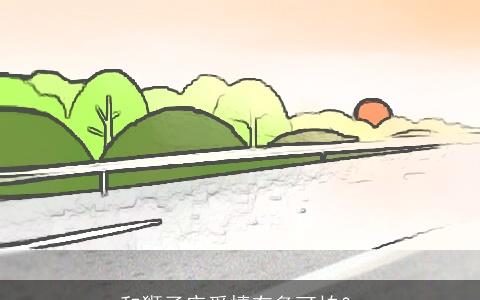 和狮子座爱情有多可怕？