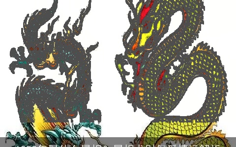 1952年属什么属相？属相龙财气爱情运解析