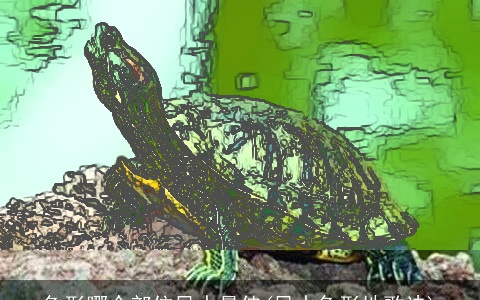 龟形哪个部位风水最佳(风水龟形地歌诀)